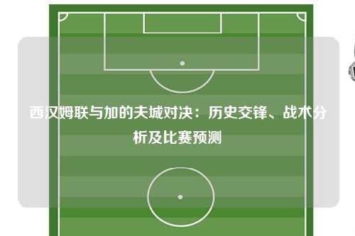 西汉姆联与加的夫城对决：历史交锋、战术分析及比赛预测