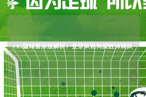 CBA篮球赛深度解析:北京队如何战胜深圳队