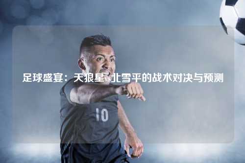 足球盛宴：天狼星vs北雪平的战术对决与预测