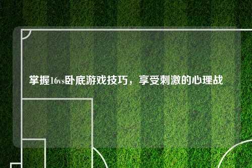 掌握16vs卧底游戏技巧，享受刺激的心理战