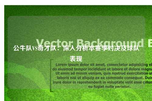 公牛队VS奇才队：深入分析本赛季对决及球队表现